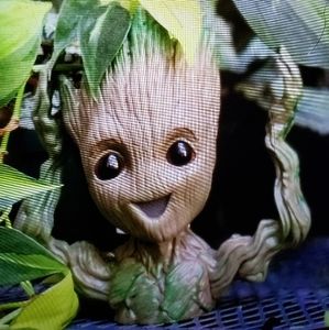 Groot planter  Hands Up